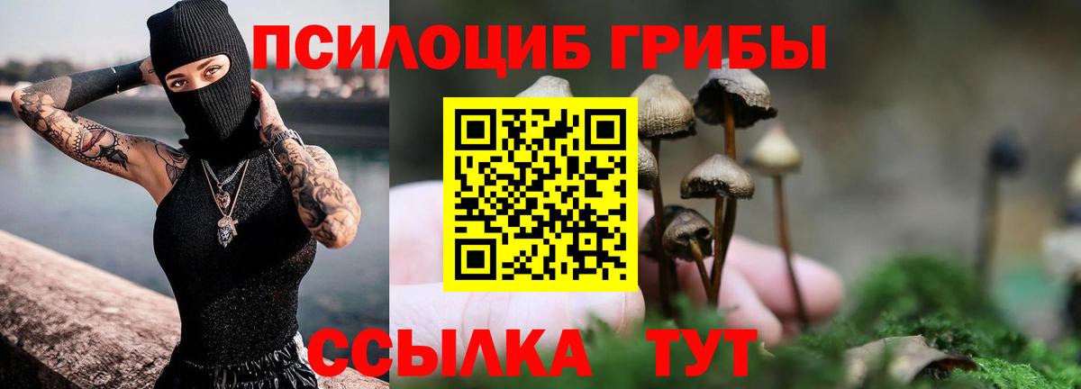 Галлюциногенные грибы ЛСД  купить закладку  Асино  Псилоцибиновые грибы мухоморы  Вход с VPN 